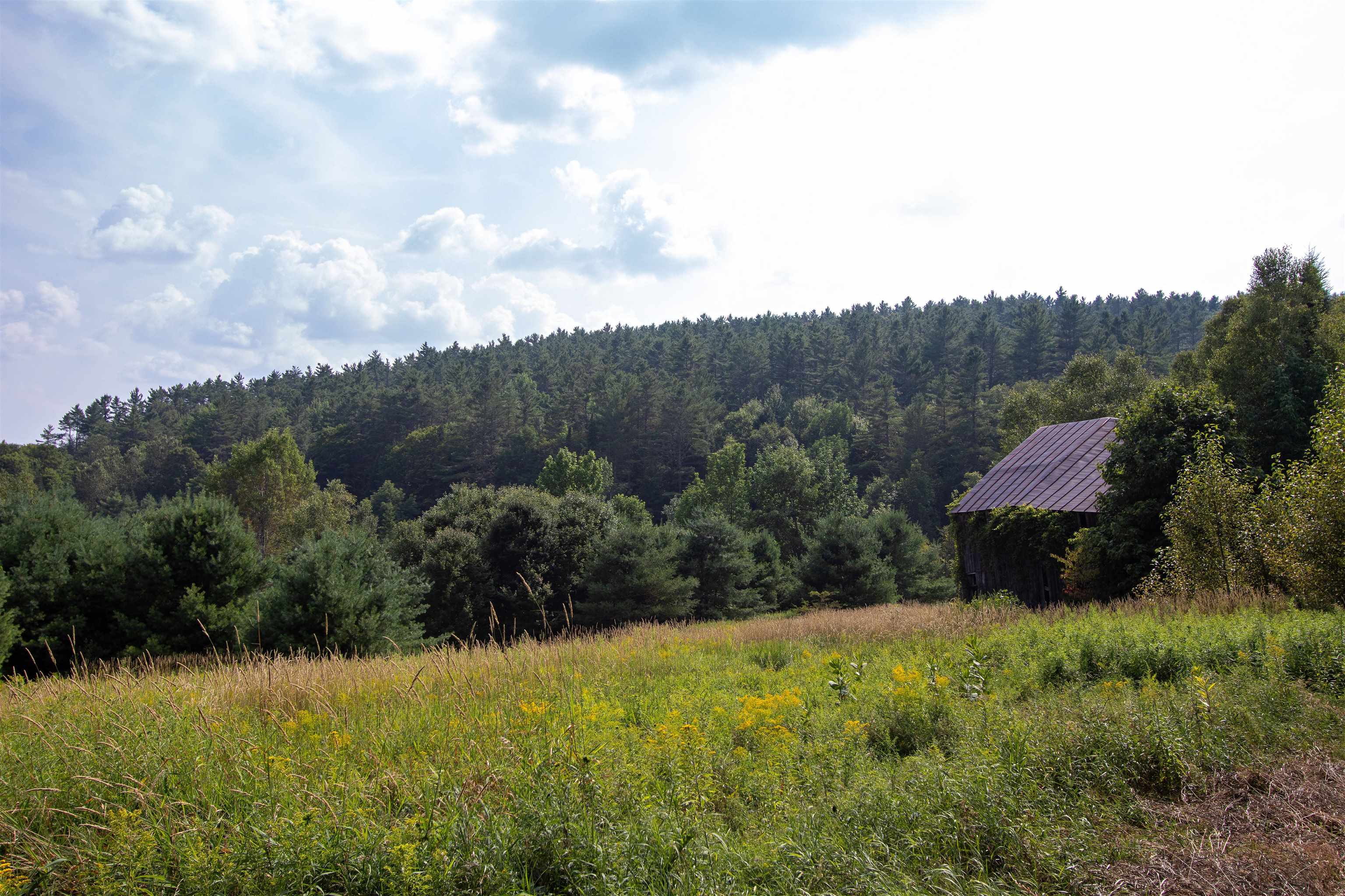 859 Whitehill Road Barnet, VT 05042 - Photo 51 of 60