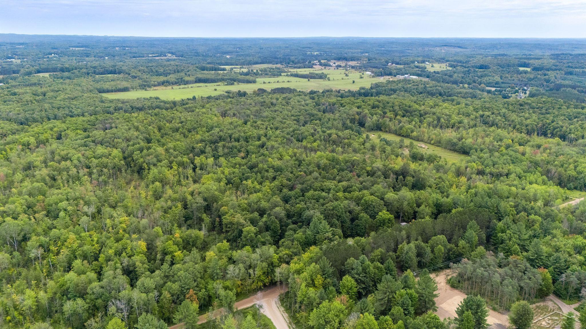 20686 Lakola Road Tustin, MI 49688 - Photo 35 of 47