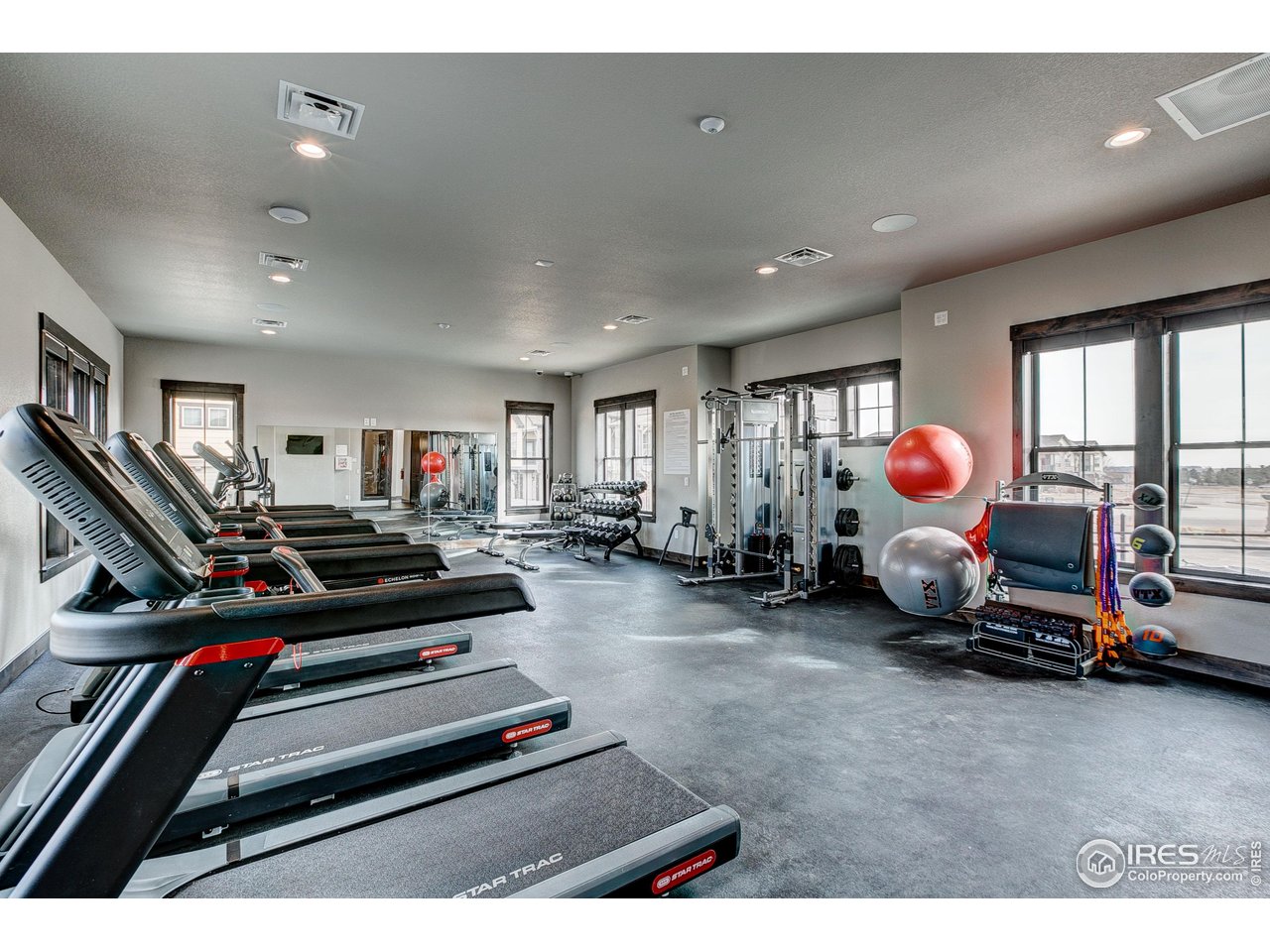 6226 Vernazza Way, Unit 4 Windsor, CO 80550 - Photo 24 of 33 a living room with lots of gym equipment