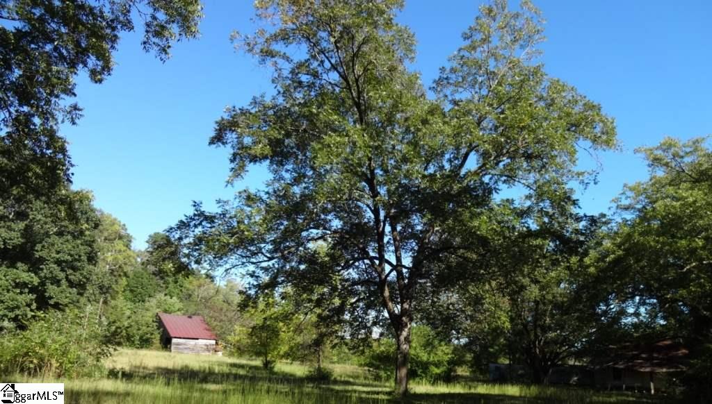 Watts Road Liberty, SC 29657 - Photo 12 of 28