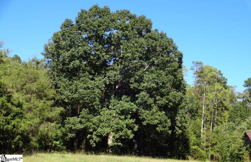 Watts Road Liberty, SC 29657 - Photo 15 of 28