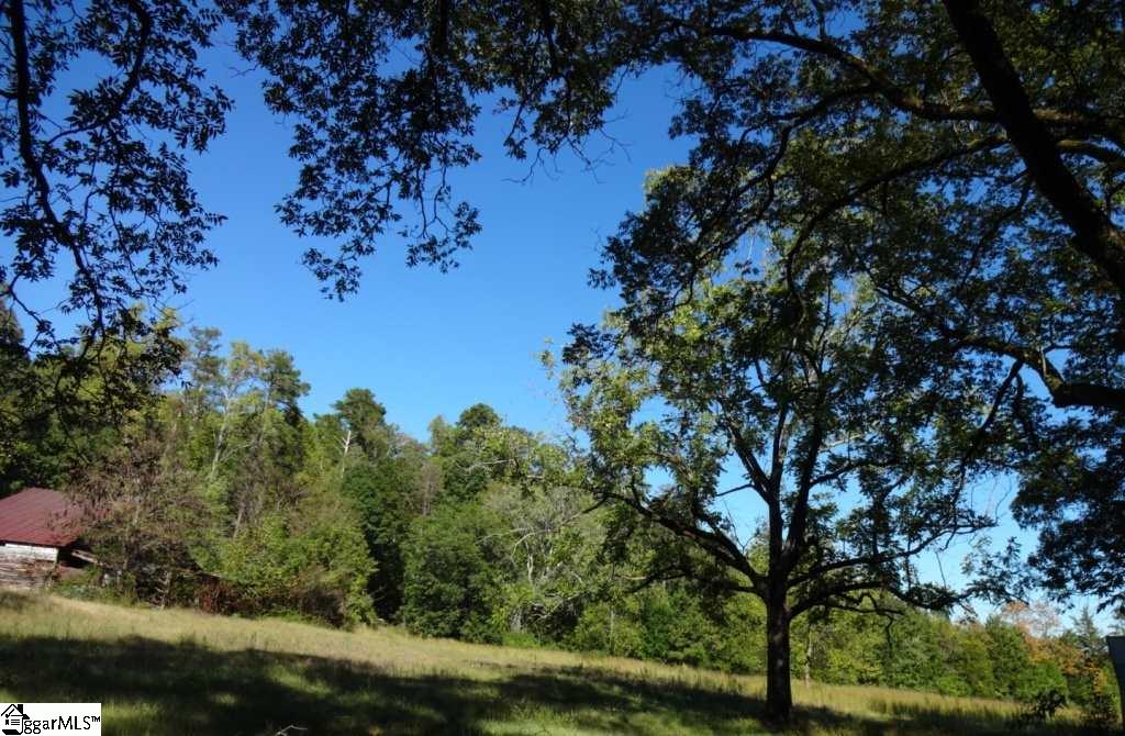 Watts Road Liberty, SC 29657 - Photo 17 of 28