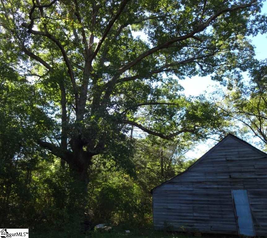 Watts Road Liberty, SC 29657 - Photo 18 of 28