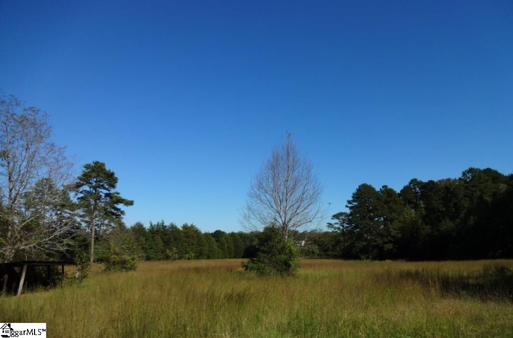 Watts Road Liberty, SC 29657 - Photo 19 of 28