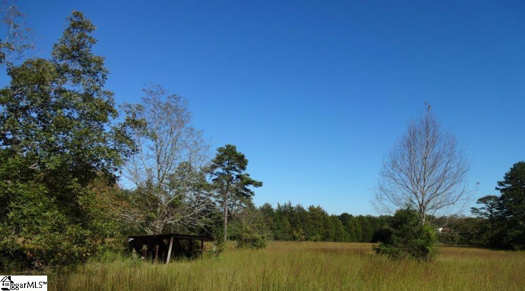 Watts Road Liberty, SC 29657 - Photo 20 of 28