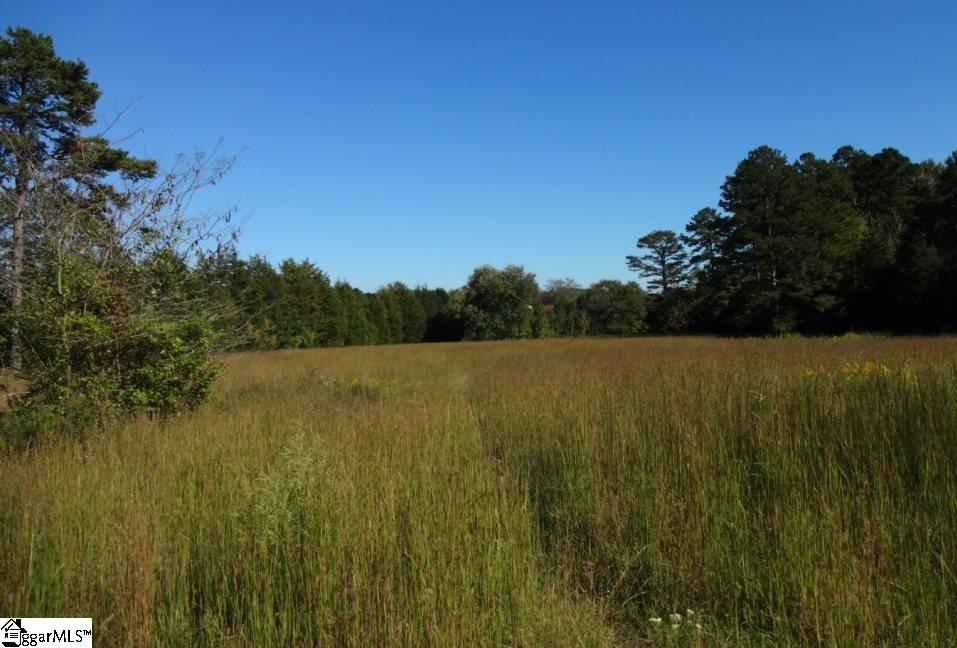 Watts Road Liberty, SC 29657 - Photo 22 of 28