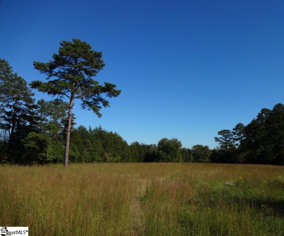 Watts Road Liberty, SC 29657 - Photo 23 of 28