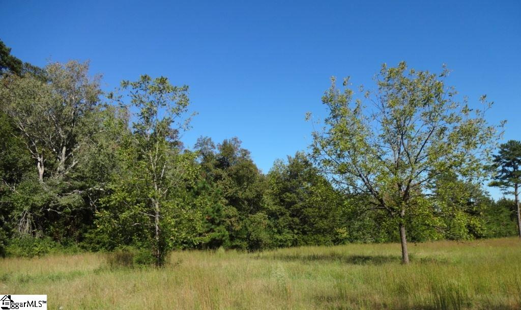 Watts Road Liberty, SC 29657 - Photo 24 of 28