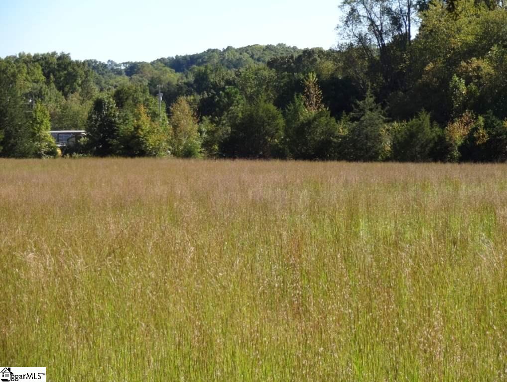 Watts Road Liberty, SC 29657 - Photo 26 of 28