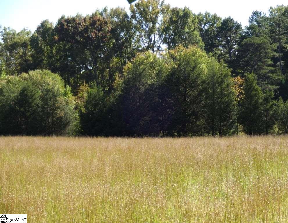 Watts Road Liberty, SC 29657 - Photo 27 of 28