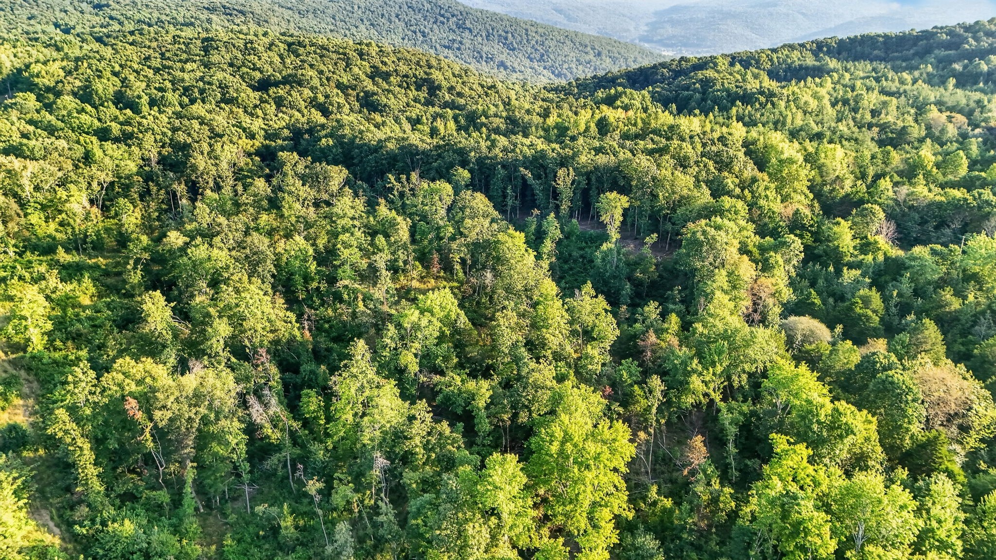 0 Jackson Point Road Sewanee, TN 37375 - Photo 15 of 21 Gallery Image 15