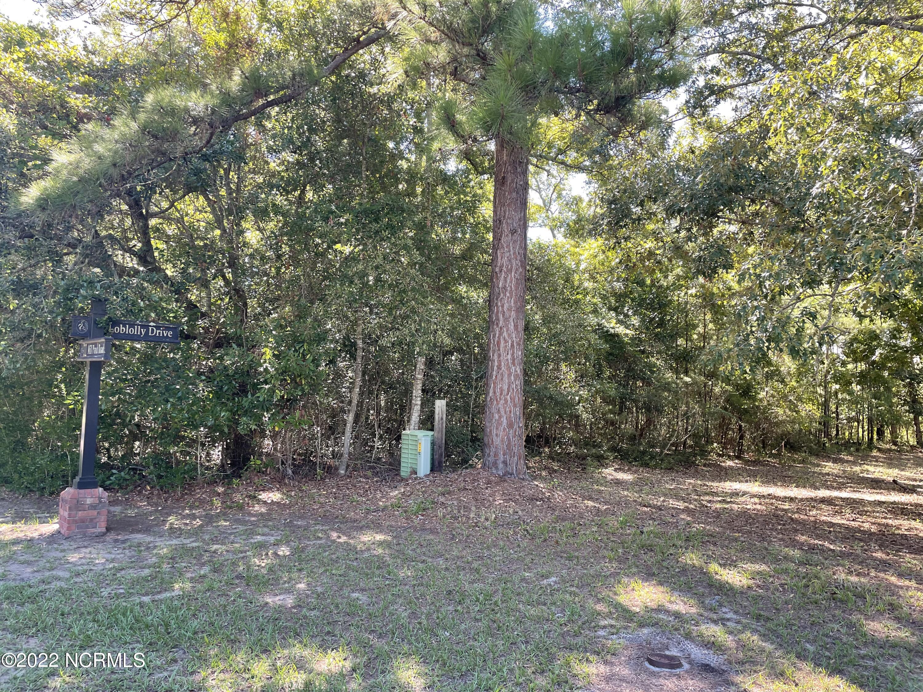 0 Mill Pond Road Southwest Shallotte, NC 28470 - Photo 1 of 6 Road frontage