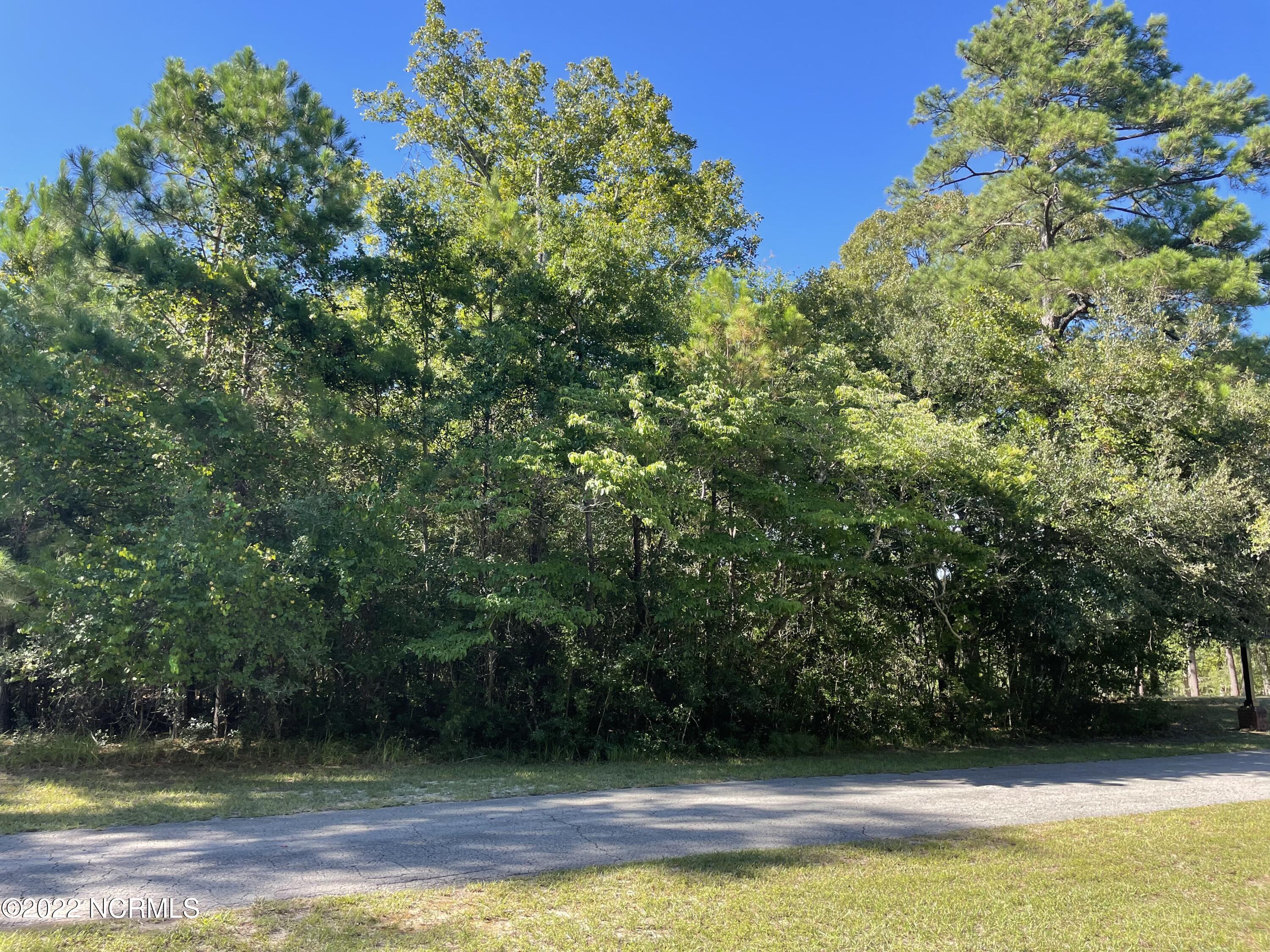 0 Mill Pond Road Southwest Shallotte, NC 28470 - Photo 2 of 6 IMG_1079