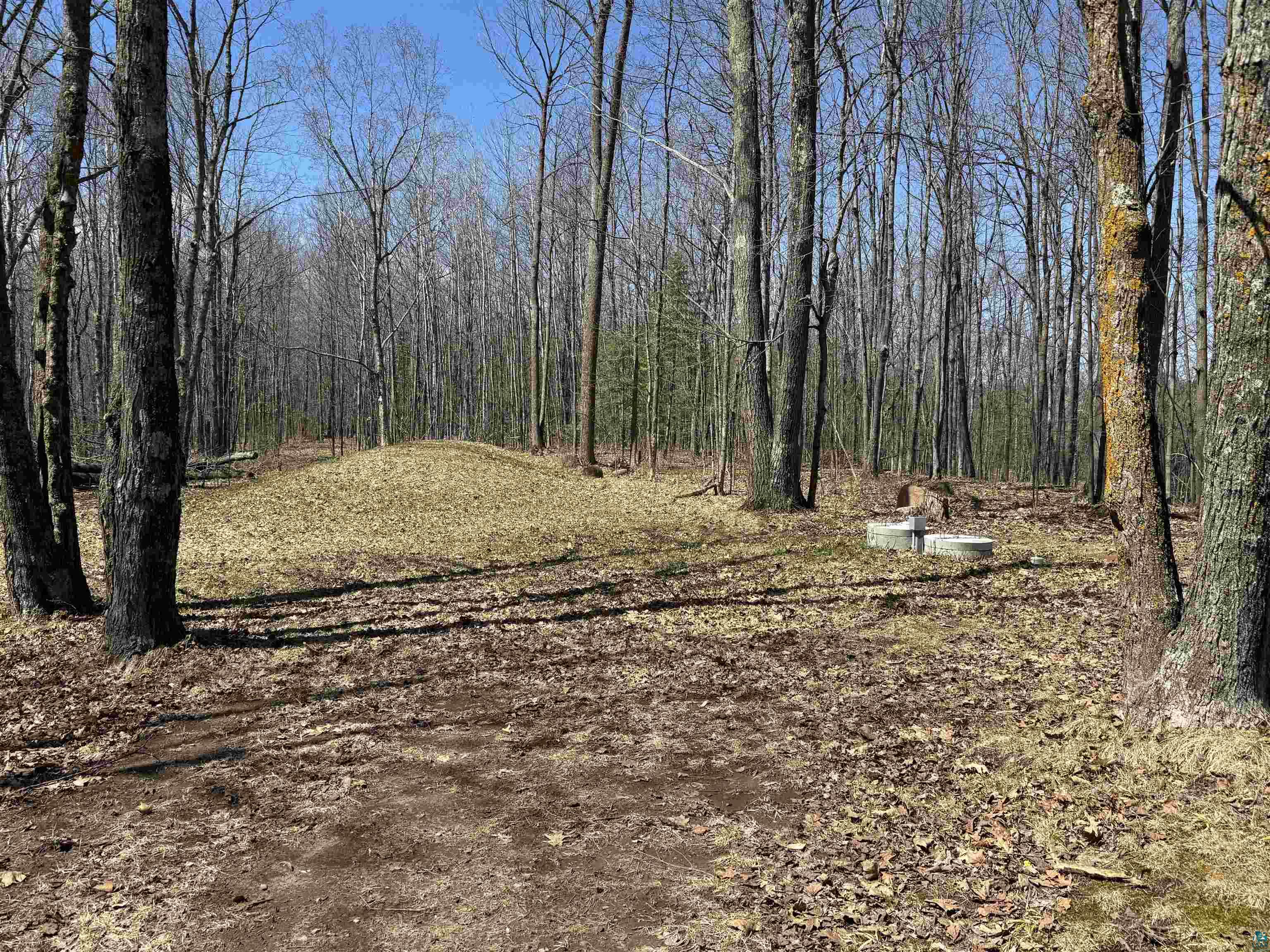4897 Swanson Drive Maple, WI 54854 - Photo 22 of 25 Wooded lot featuring mature trees, a clear sky, and natural ground cover