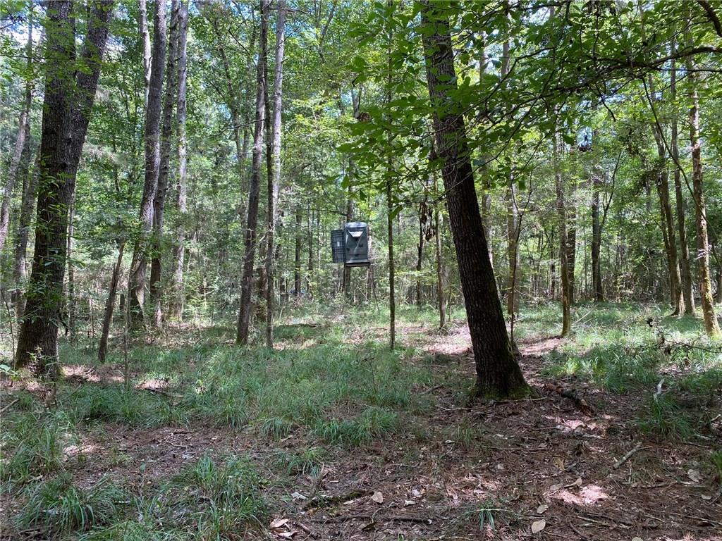 31294 River Road Mount Hermon, LA 70450 - Photo 5 of 17 Gallery Image 5