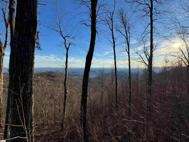 $579,000 | 260 Bella Vista Court, Unit CVNCM010, Zirconia, NC 28790