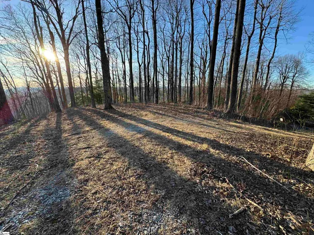 $579,000 | 260 Bella Vista Court, Unit CVNCM010, Zirconia, NC 28790