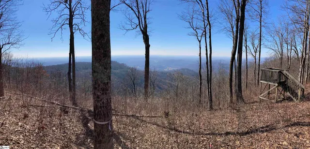 $579,000 | 260 Bella Vista Court, Unit CVNCM010, Zirconia, NC 28790