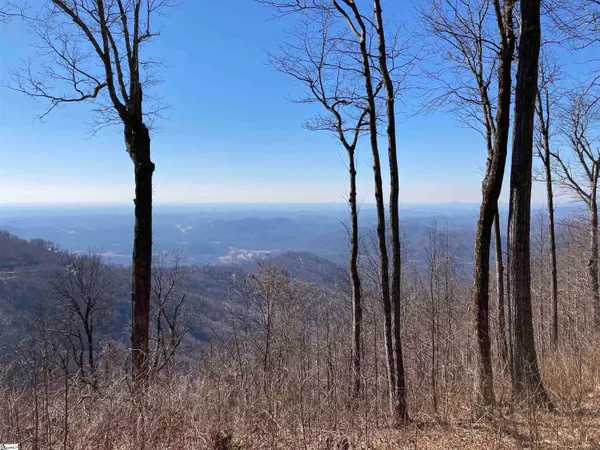$499,000 | 260 Bella Vista Court, Unit CVNCM010, Zirconia, NC 28790