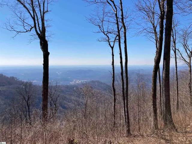 $579,000 | 260 Bella Vista Court, Unit CVNCM010, Zirconia, NC 28790