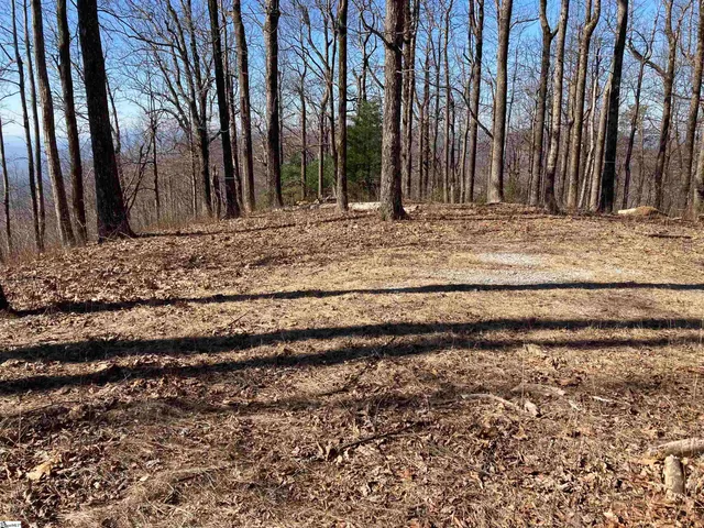 $579,000 | 260 Bella Vista Court, Unit CVNCM010, Zirconia, NC 28790