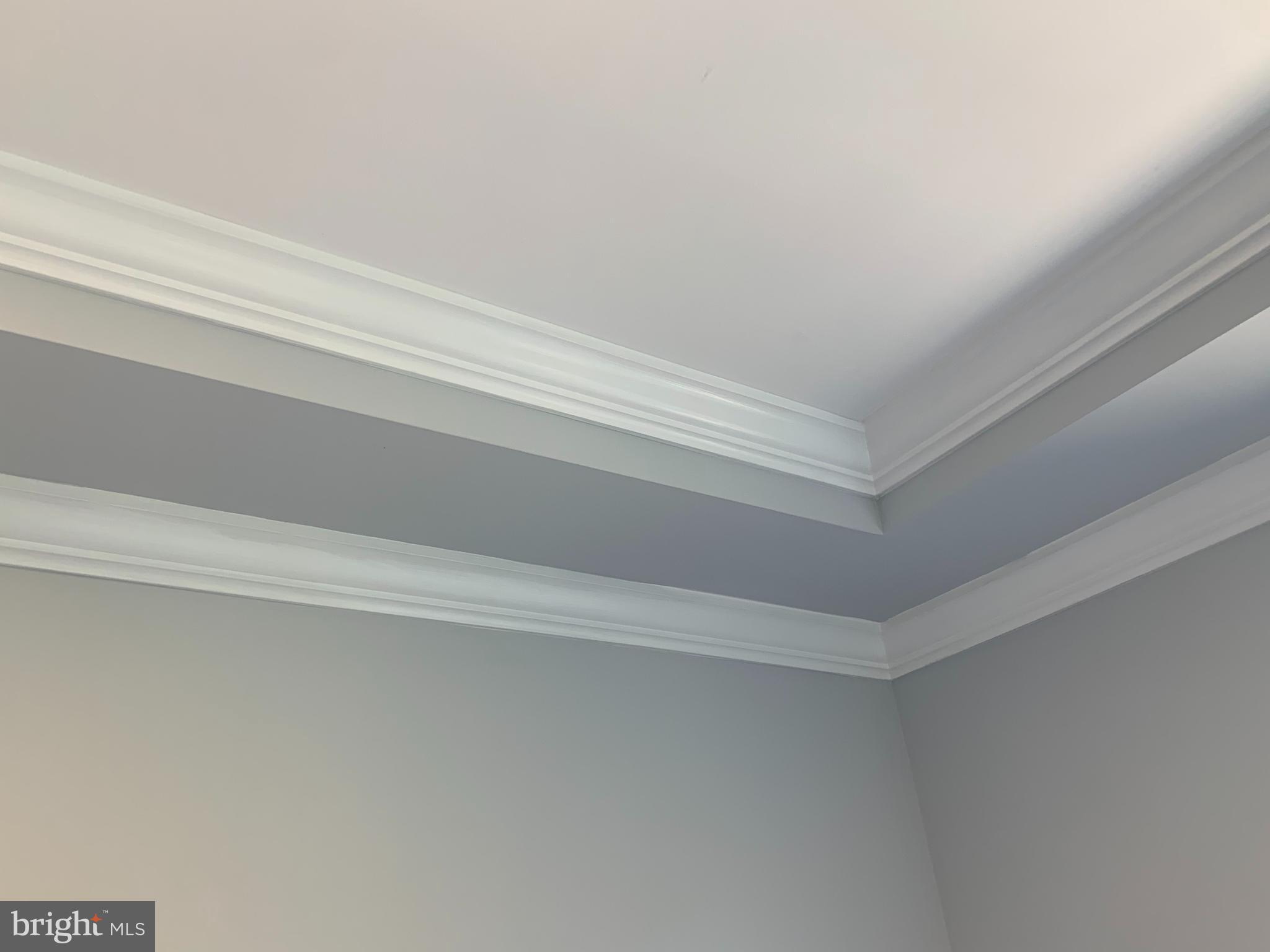 8257 WB&A Road Severn, MD 21144 - Photo 32 of 58 Double Crown Molding in the Tray Ceiling