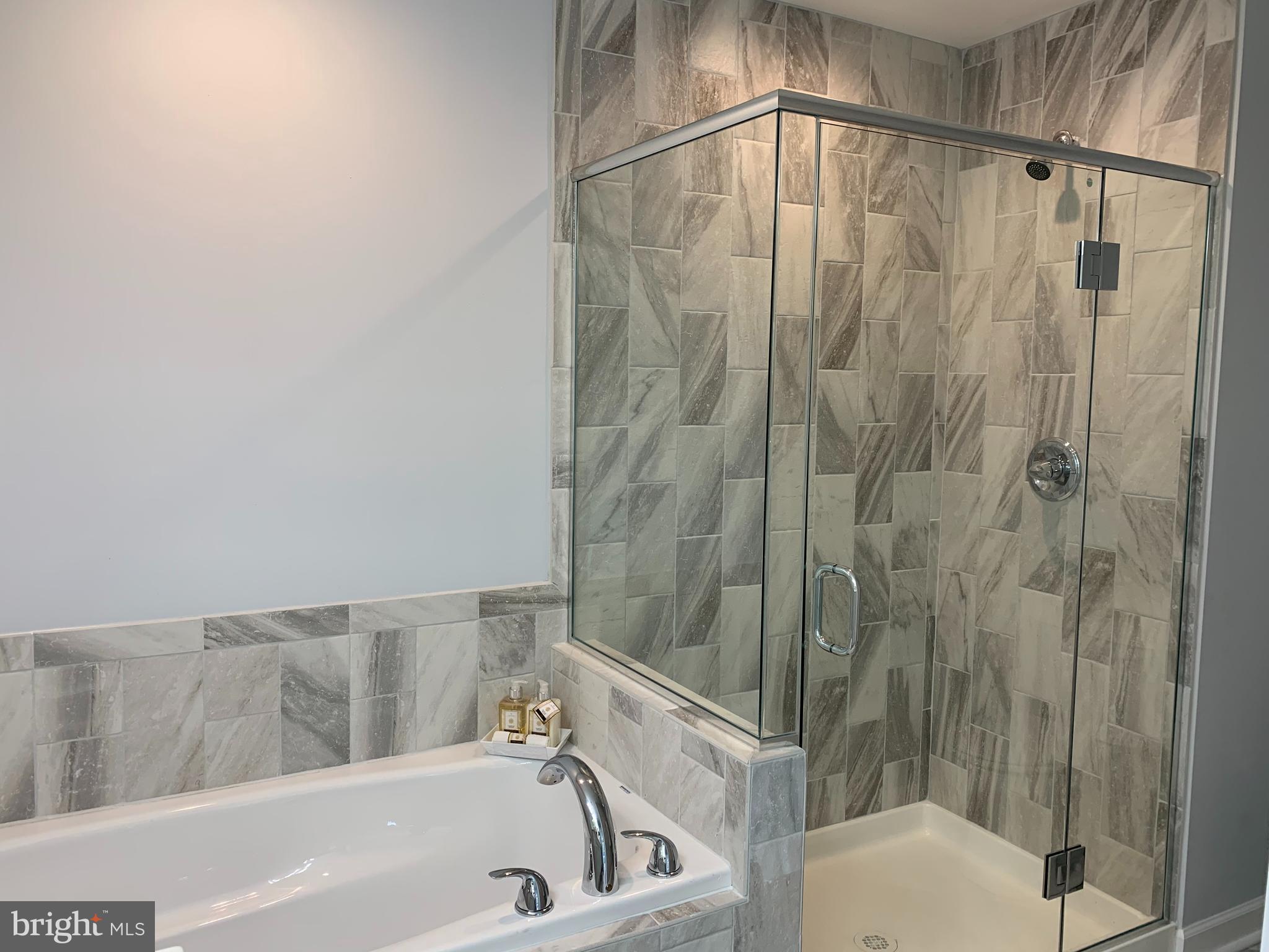 8257 WB&A Road Severn, MD 21144 - Photo 37 of 58 Tub or Shower? Both preferences covered here!