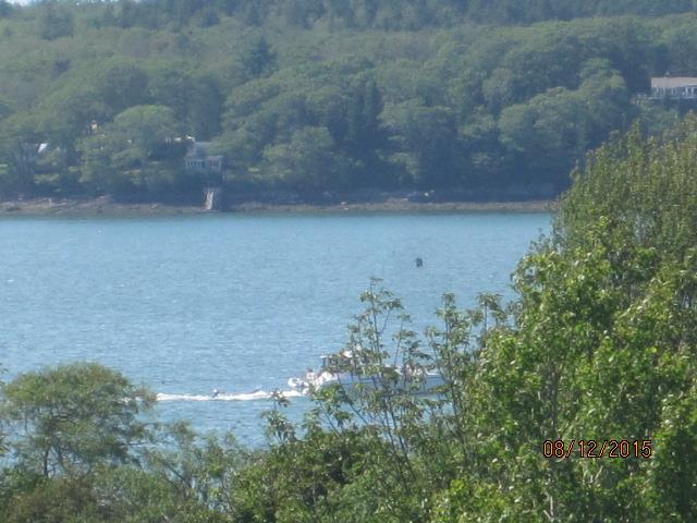 14 Tower Hill Road Orrs Island, ME 04066 - Photo 8 of 33 Looking across Merman Ledges toward...