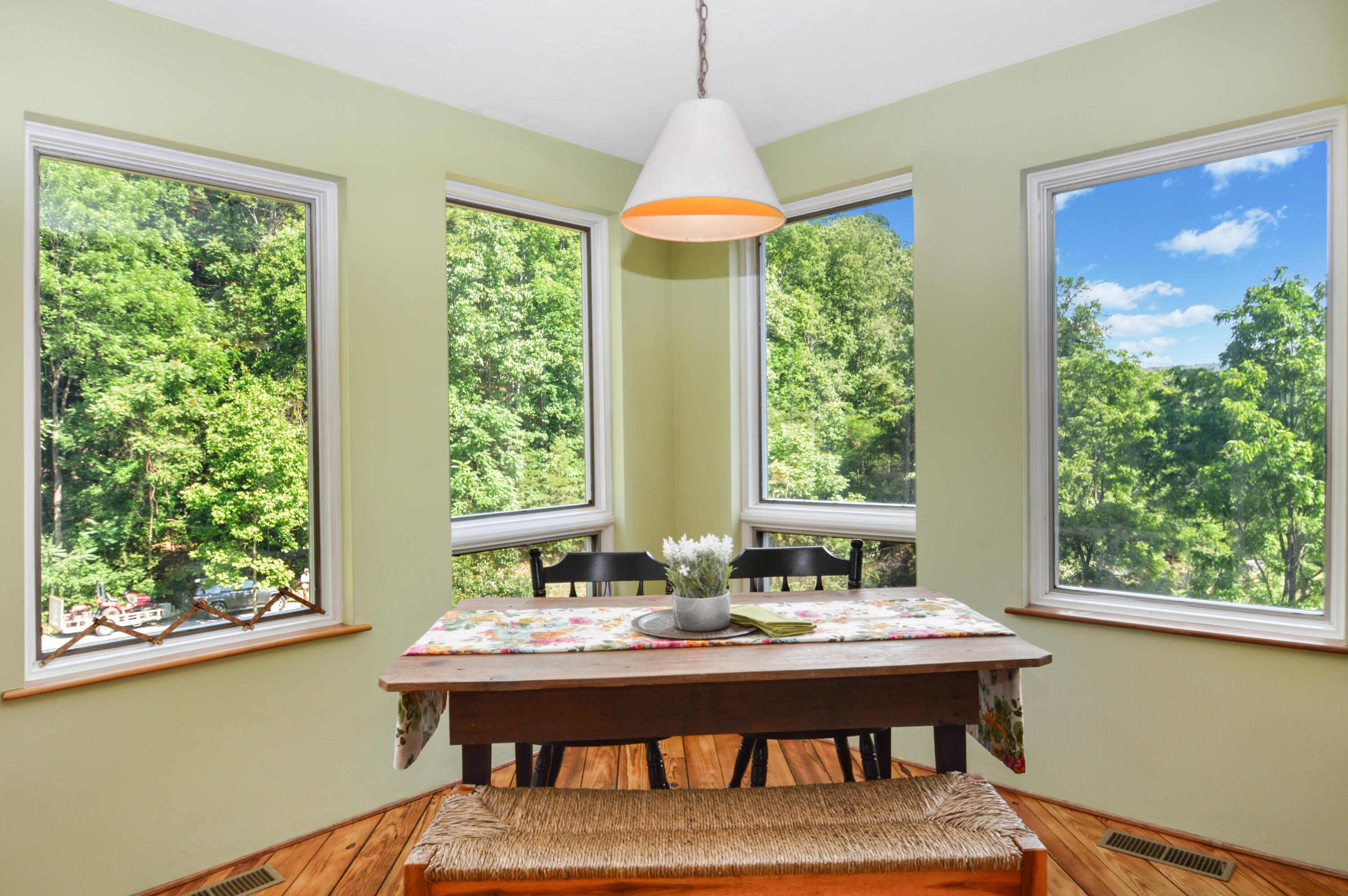 1818 Lizard Creek Road Shawsville, VA 24162 - Photo 13 of 62 DSC_0160