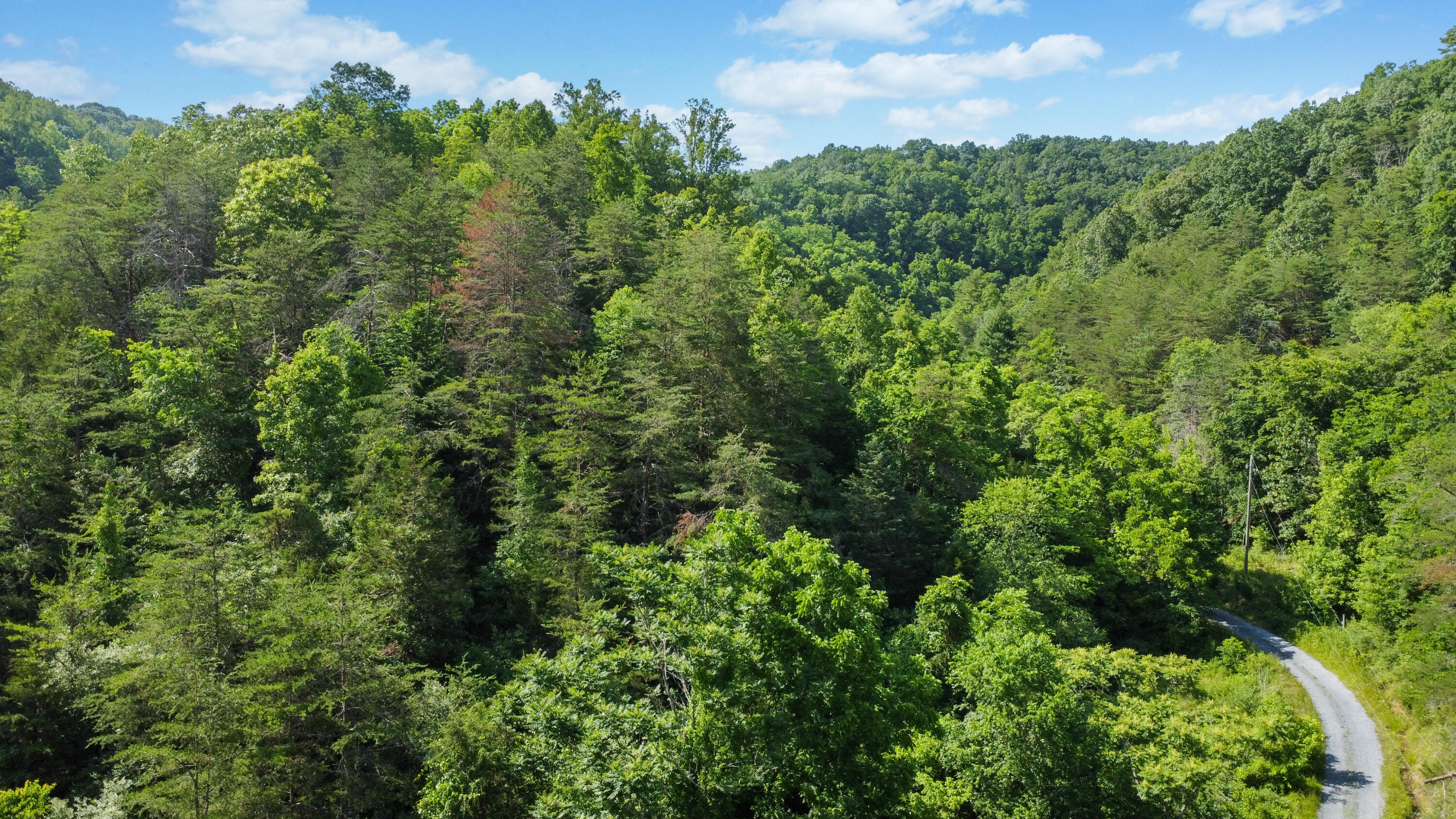1818 Lizard Creek Road Shawsville, VA 24162 - Photo 41 of 62 DJI_0899