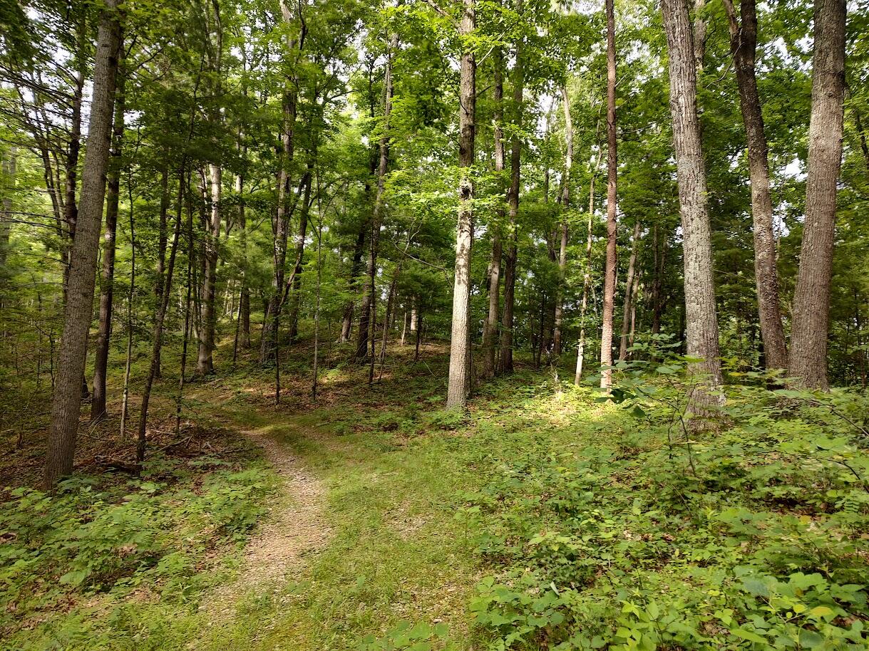1818 Lizard Creek Road Shawsville, VA 24162 - Photo 45 of 62 8