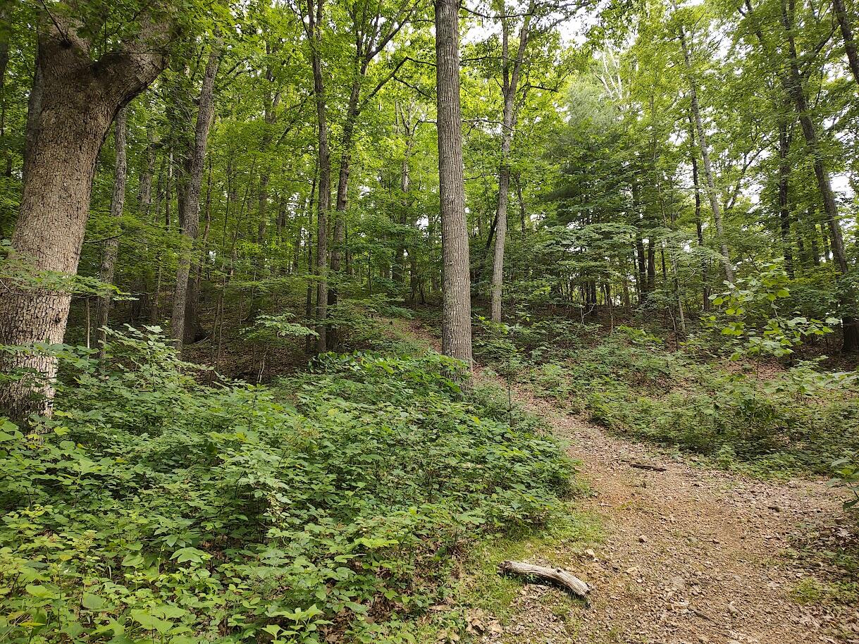 1818 Lizard Creek Road Shawsville, VA 24162 - Photo 51 of 62 7