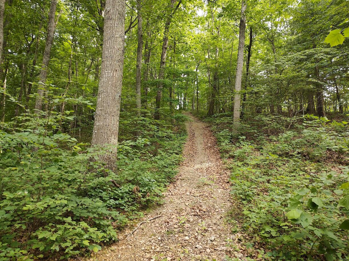 1818 Lizard Creek Road Shawsville, VA 24162 - Photo 52 of 62 9