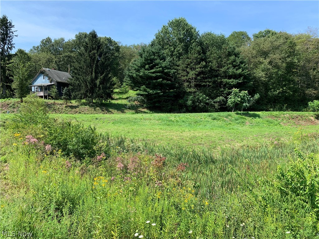 50 Country Road Jewett, OH 43986 - Photo 9 of 10 Gallery Image 9