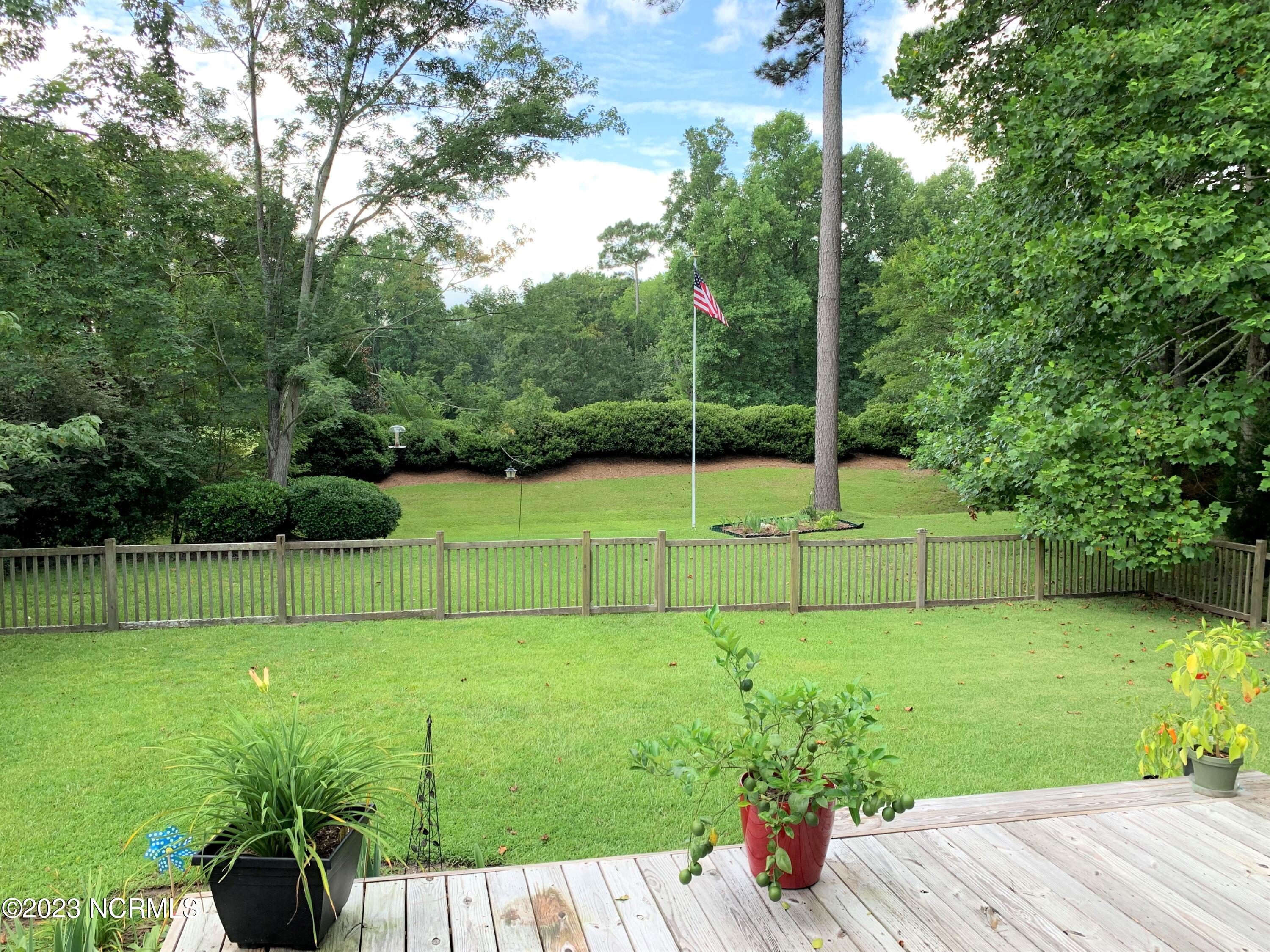 111 Geneva Road New Bern, NC 28562 - Photo 32 of 40 View of the backyard