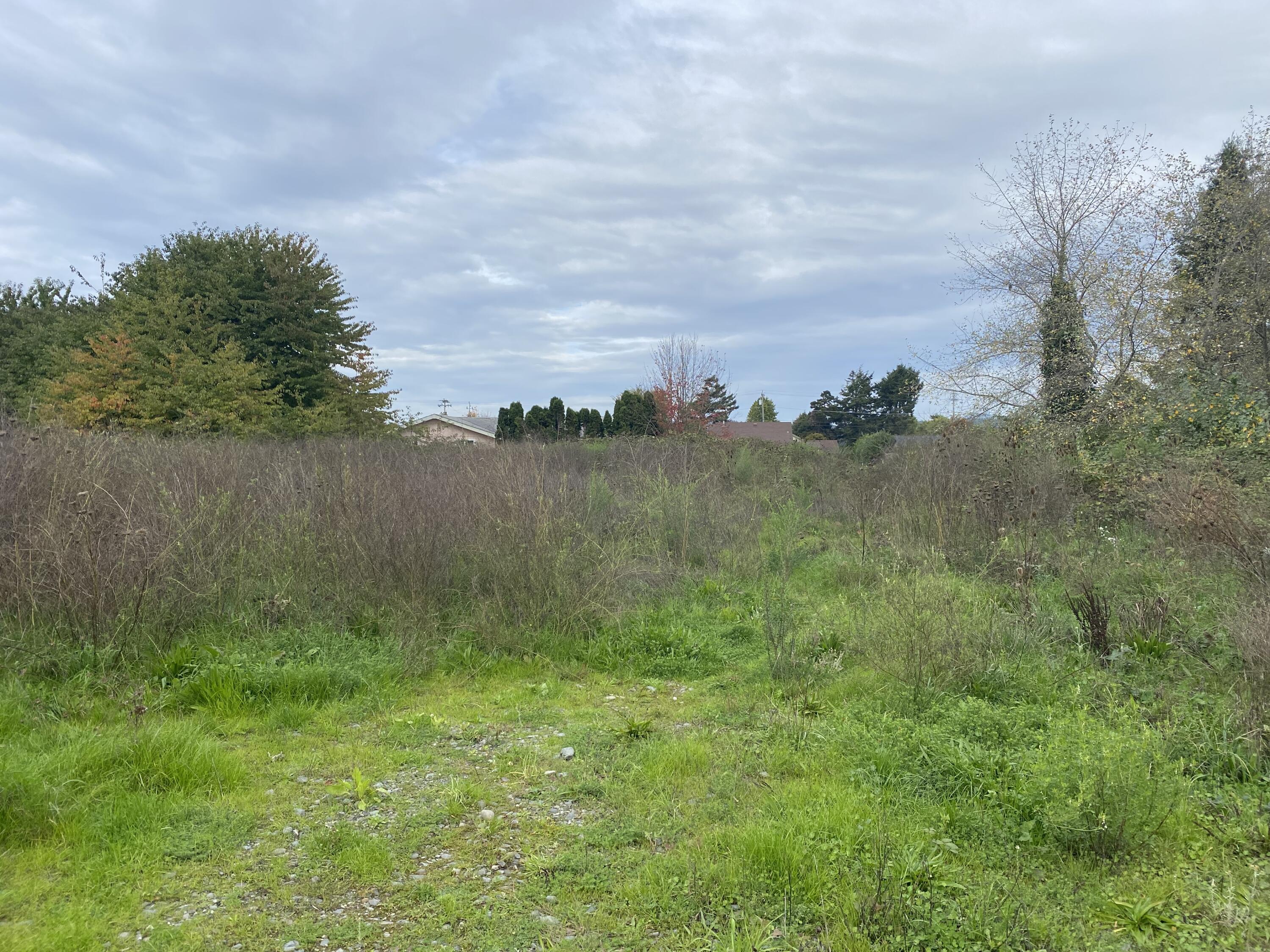3028 Alliance Road Arcata, CA 95521 - Photo 4 of 4