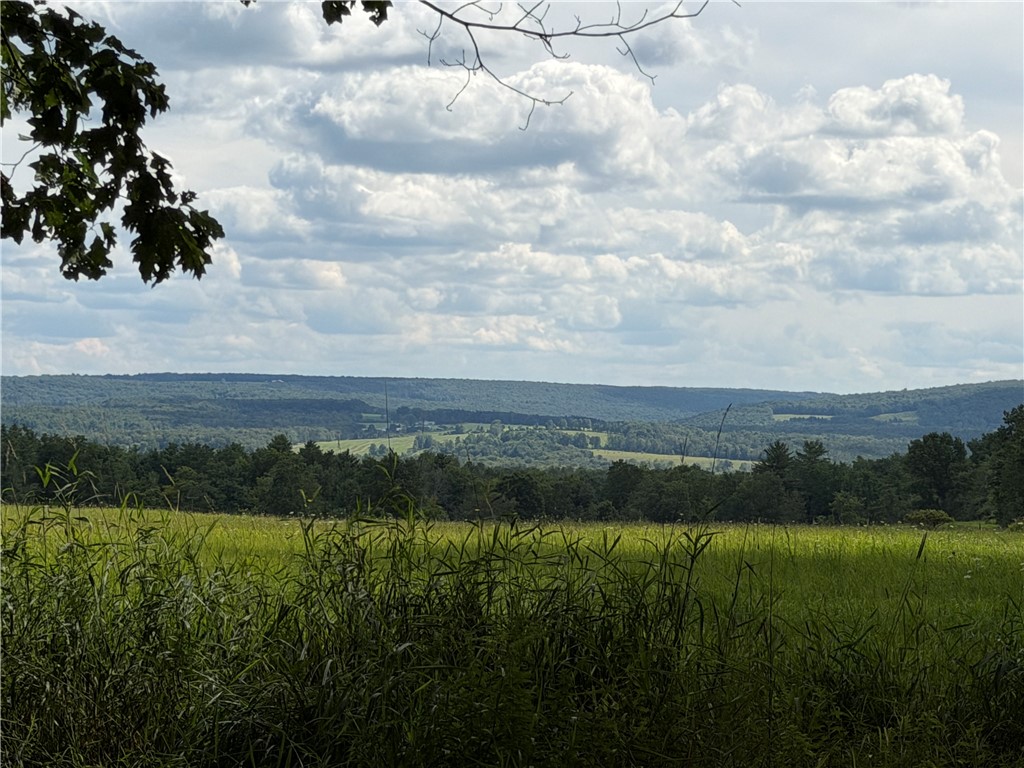 Vl Barney Road North Fillmore, NY 14735 - Photo 50 of 50 Gallery Image 50