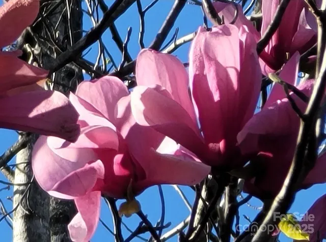 $329,900 | 3333 Roberta Road, Concord, NC 28027