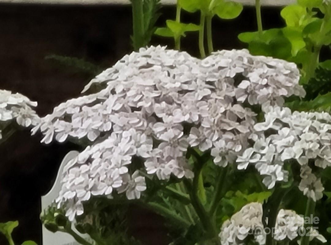 3333 Roberta Road Concord, NC 28027 - Photo 45 of 47