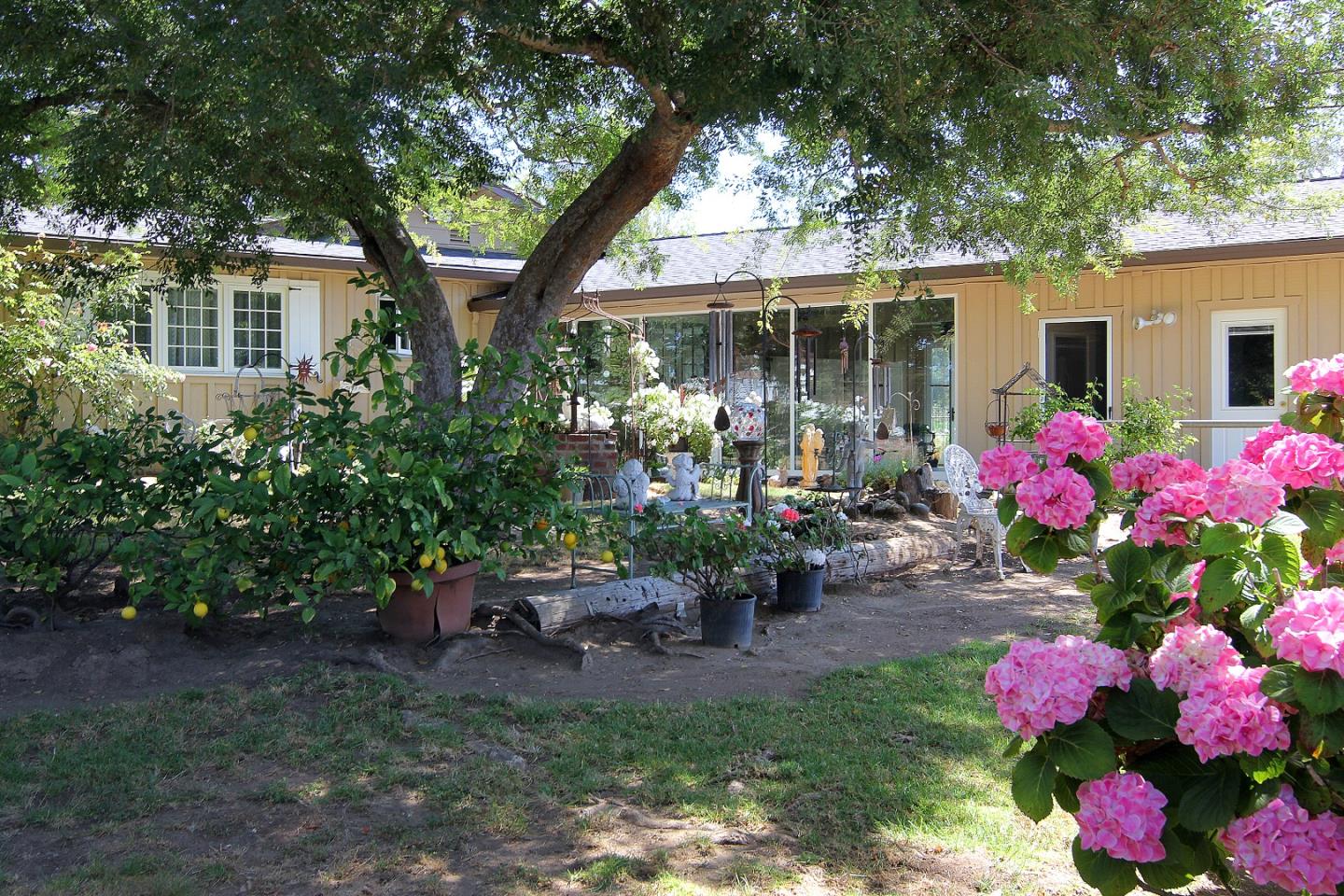 155 Wheelock Road Watsonville, CA 95076 - Photo 25 of 36 a view of backyard with seating and green space