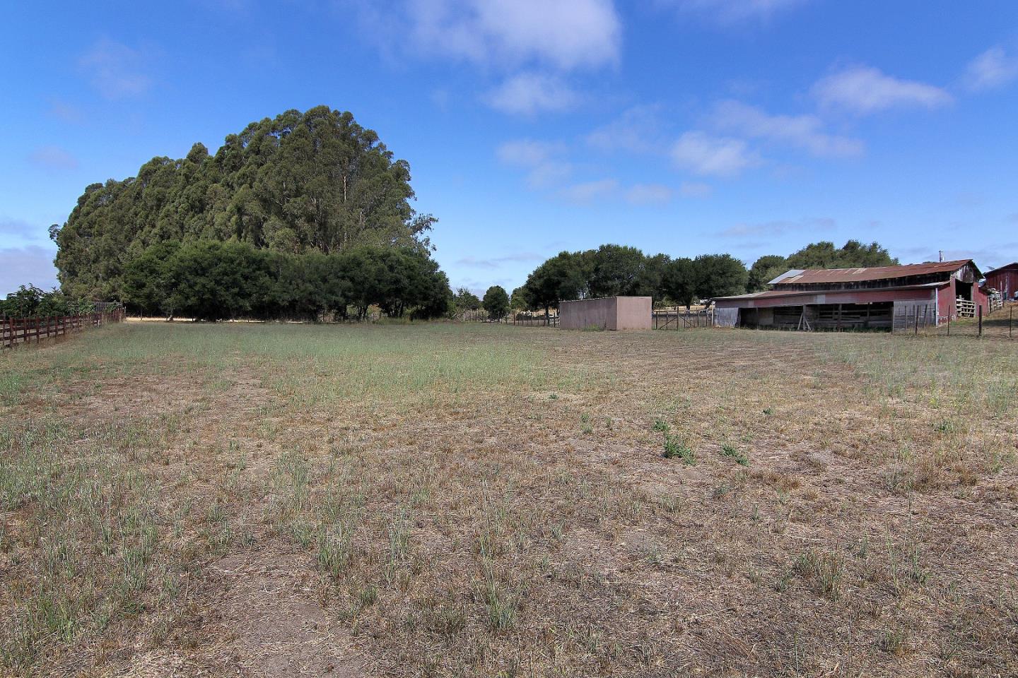 155 Wheelock Road Watsonville, CA 95076 - Photo 29 of 36 a view of a field with trees in the background