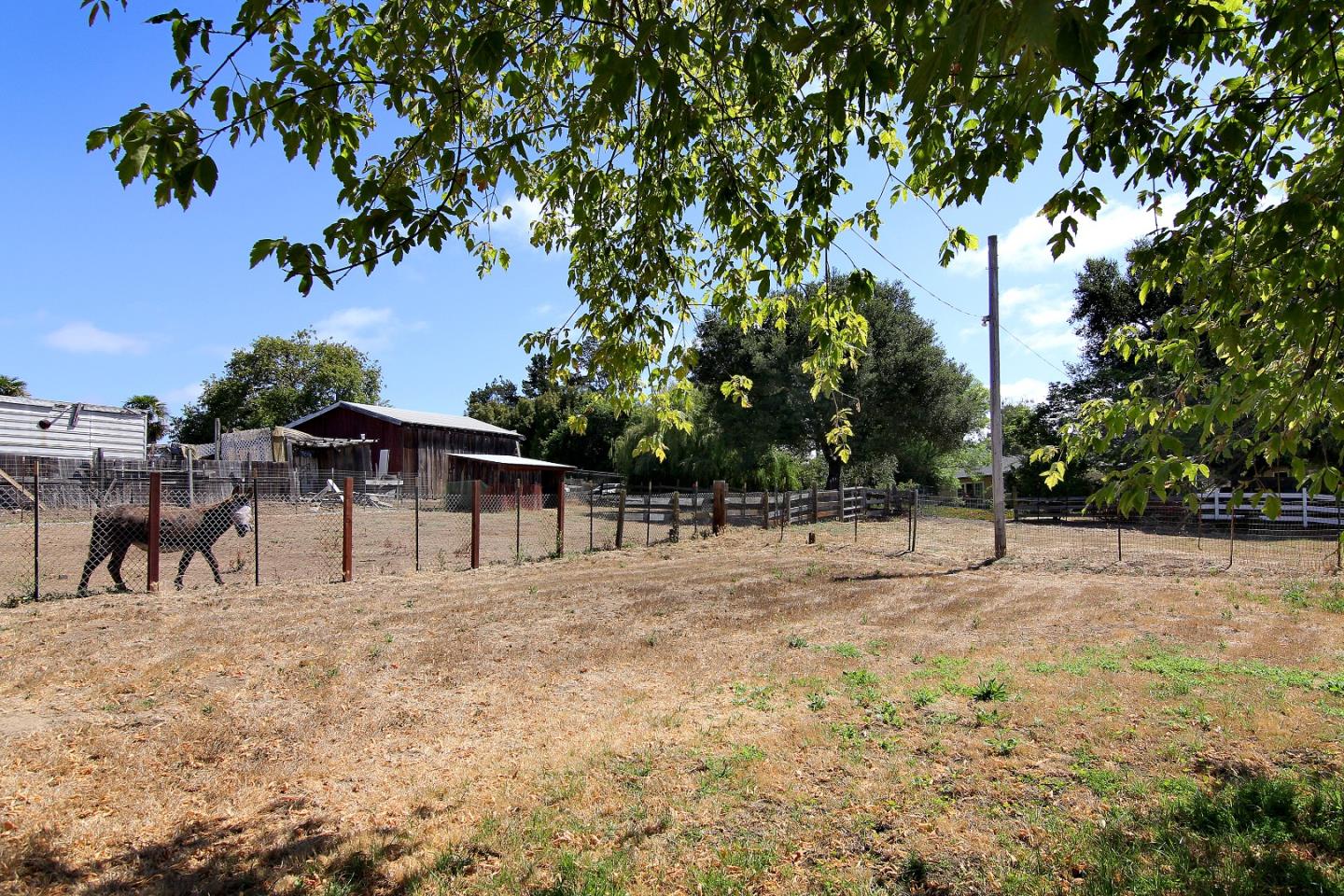 155 Wheelock Road Watsonville, CA 95076 - Photo 32 of 36 a backyard of a house with large trees and outdoor seating