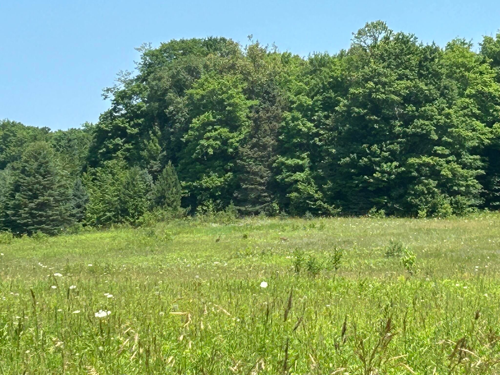 28348 West County Line Road Trout Lake, MI 49793 - Photo 67 of 83 Gallery Image 67
