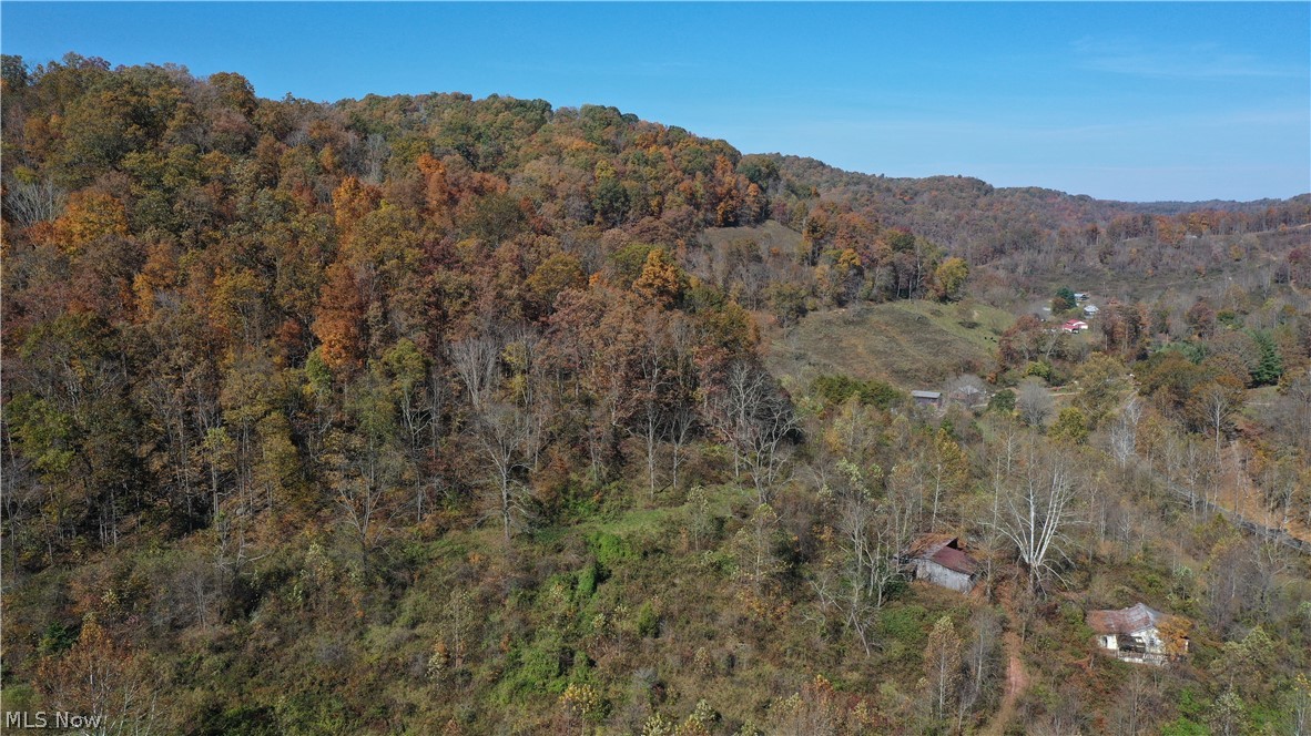 168 Stinson Road Chloe, WV 25235 - Photo 13 of 17