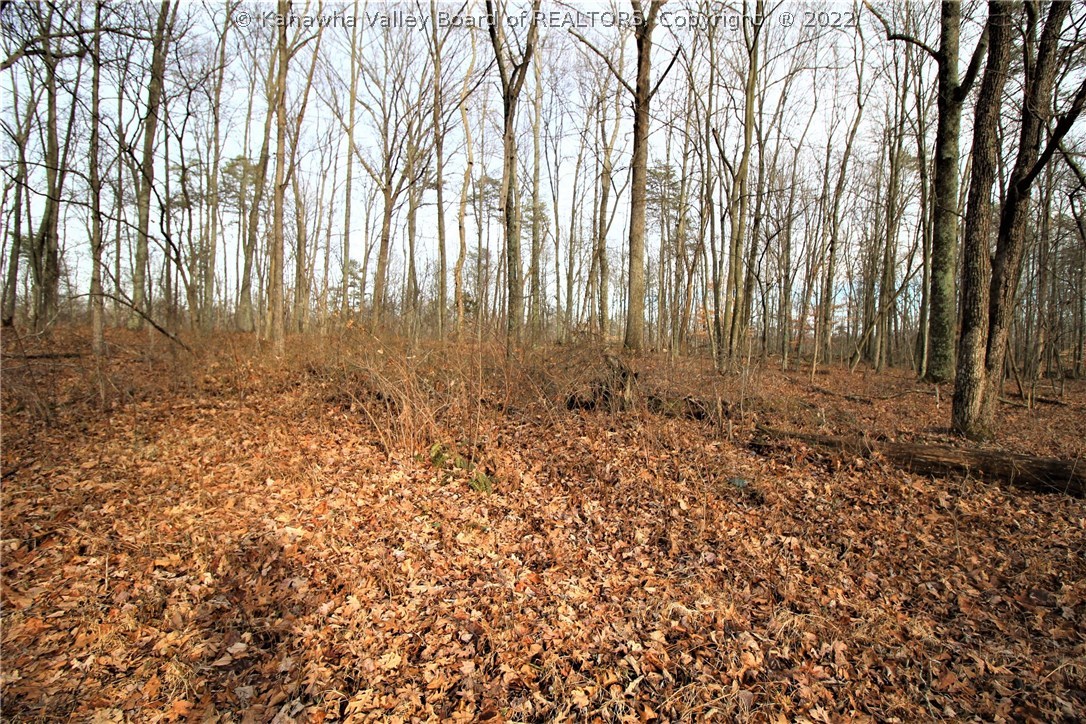 0 T Cupp Road Milton, WV 25541 - Photo 8 of 9 Gallery Image 8