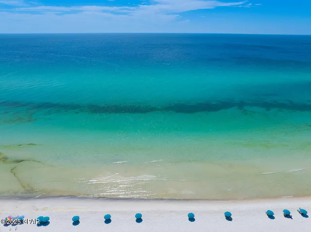 $1,350,000 | 68 Clareon Dr Inlet Beach, Inlet Beach, FL 32461