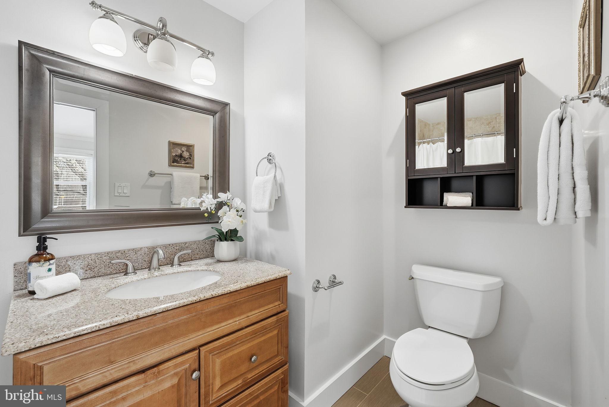 17509 Black Rock Road Germantown, MD 20874 - Photo 20 of 26 a bathroom with a granite countertop toilet sink and mirror
