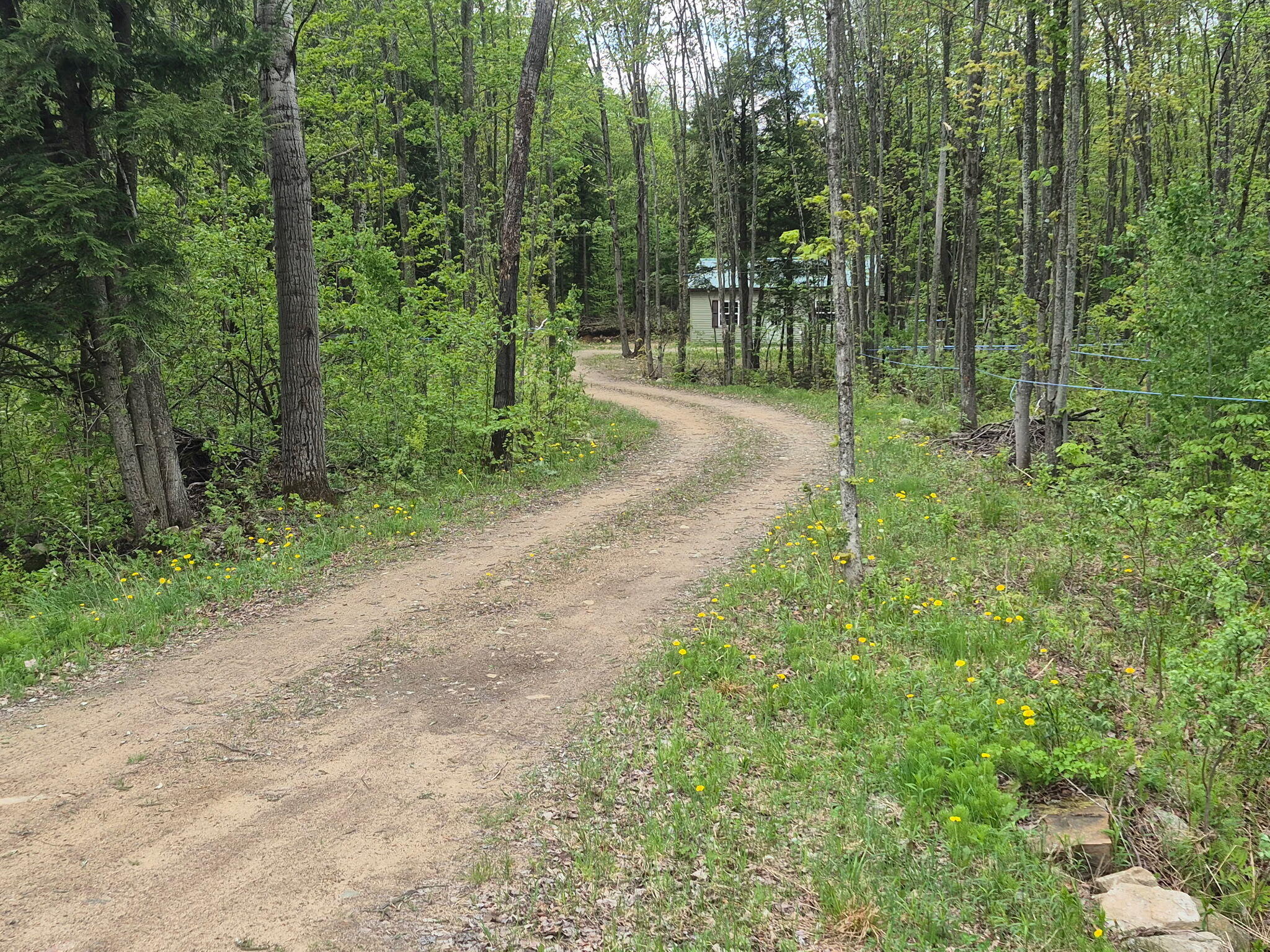 813 Bush Road Mooers Forks, NY 12959 - Photo 1 of 18 1000007458