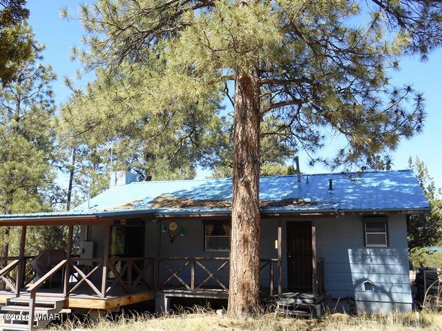 3314 Oxbow Bend Overgaard, AZ 85933 - Photo 1 of 40