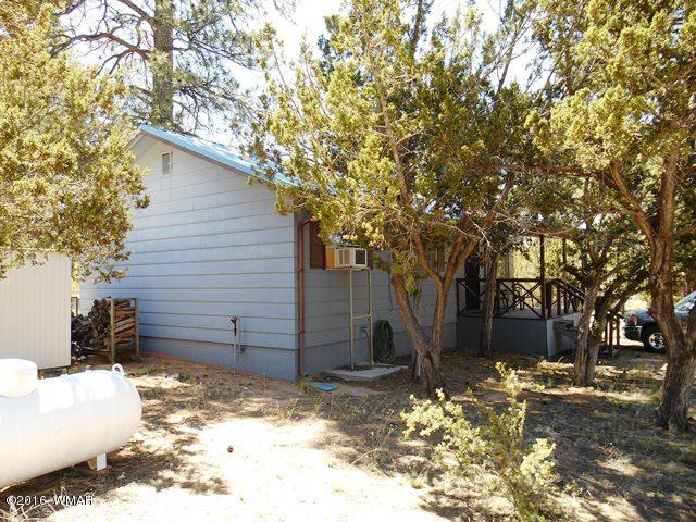 3314 Oxbow Bend Overgaard, AZ 85933 - Photo 12 of 40